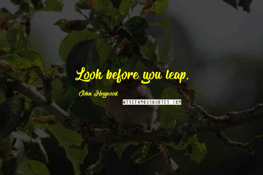 John Heywood Quotes: Look before you leap.