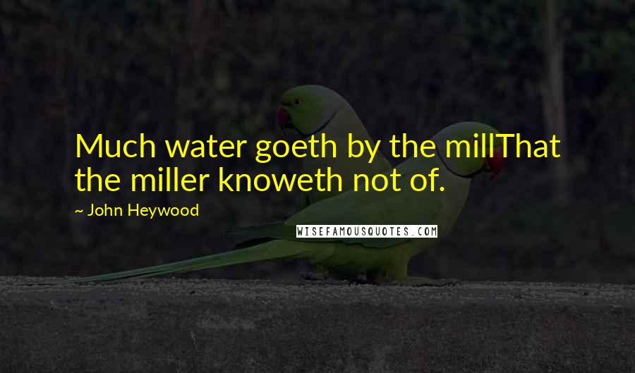 John Heywood Quotes: Much water goeth by the millThat the miller knoweth not of.