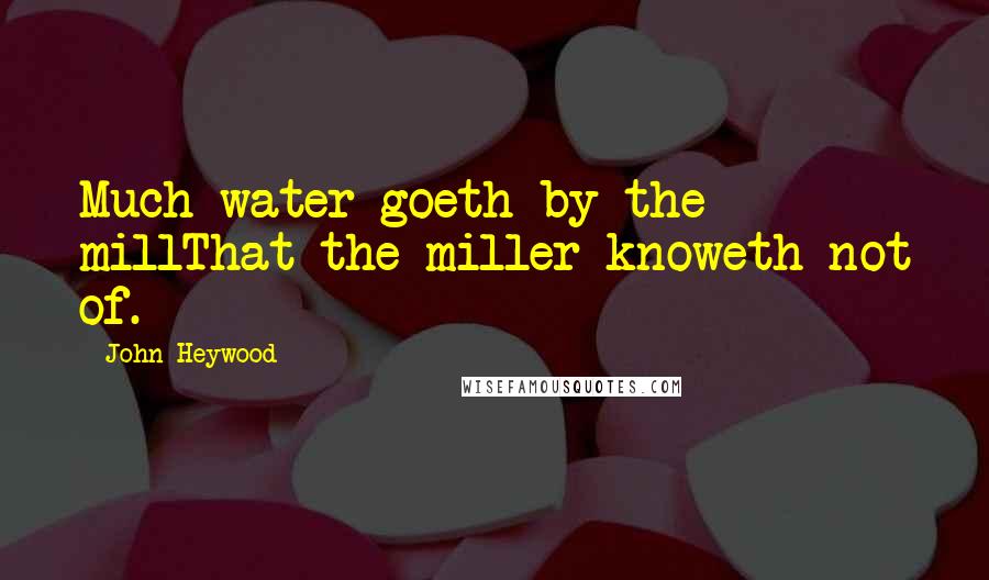 John Heywood Quotes: Much water goeth by the millThat the miller knoweth not of.