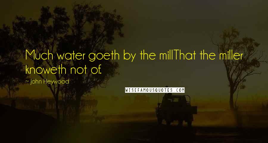 John Heywood Quotes: Much water goeth by the millThat the miller knoweth not of.