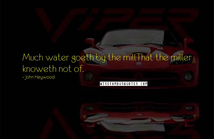 John Heywood Quotes: Much water goeth by the millThat the miller knoweth not of.