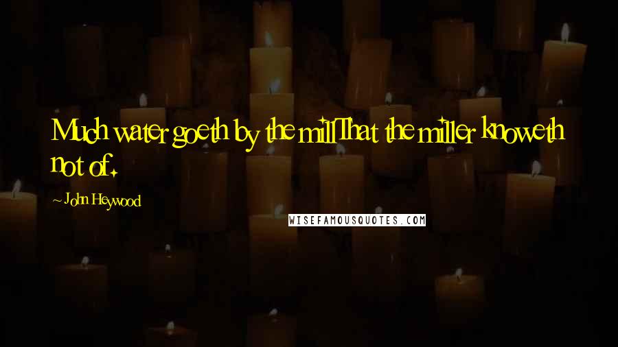 John Heywood Quotes: Much water goeth by the millThat the miller knoweth not of.