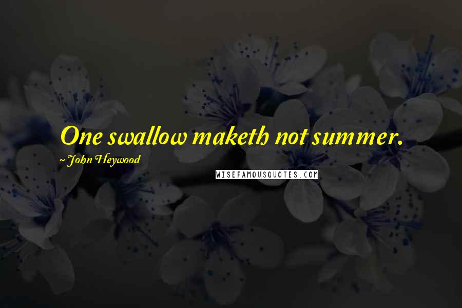 John Heywood Quotes: One swallow maketh not summer.