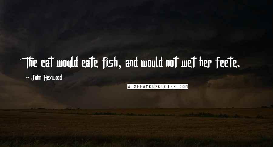 John Heywood Quotes: The cat would eate fish, and would not wet her feete.