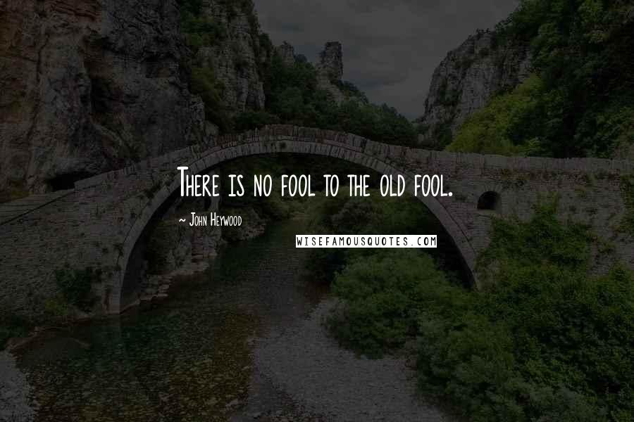 John Heywood Quotes: There is no fool to the old fool.