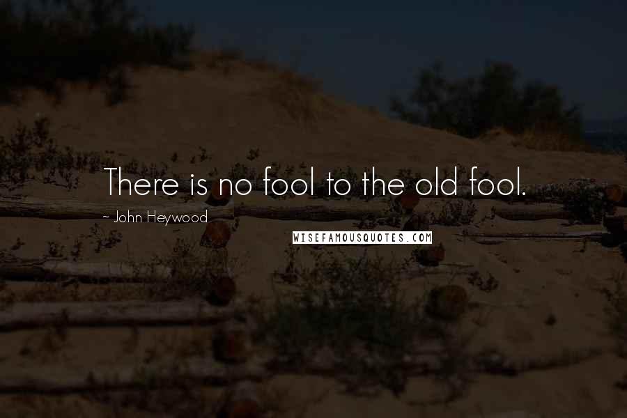 John Heywood Quotes: There is no fool to the old fool.