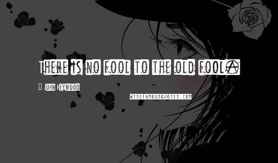 John Heywood Quotes: There is no fool to the old fool.