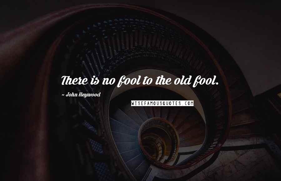 John Heywood Quotes: There is no fool to the old fool.