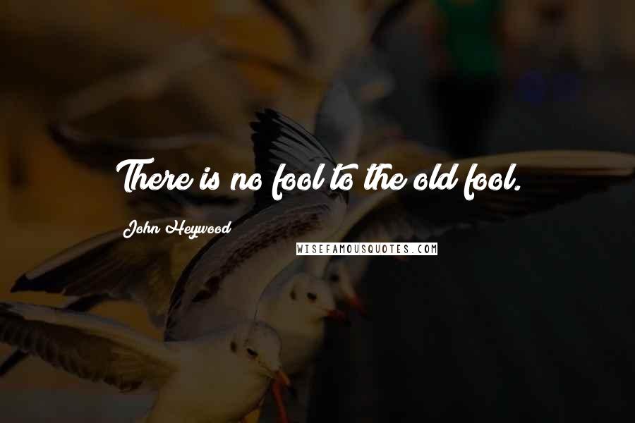 John Heywood Quotes: There is no fool to the old fool.