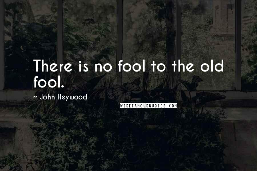 John Heywood Quotes: There is no fool to the old fool.