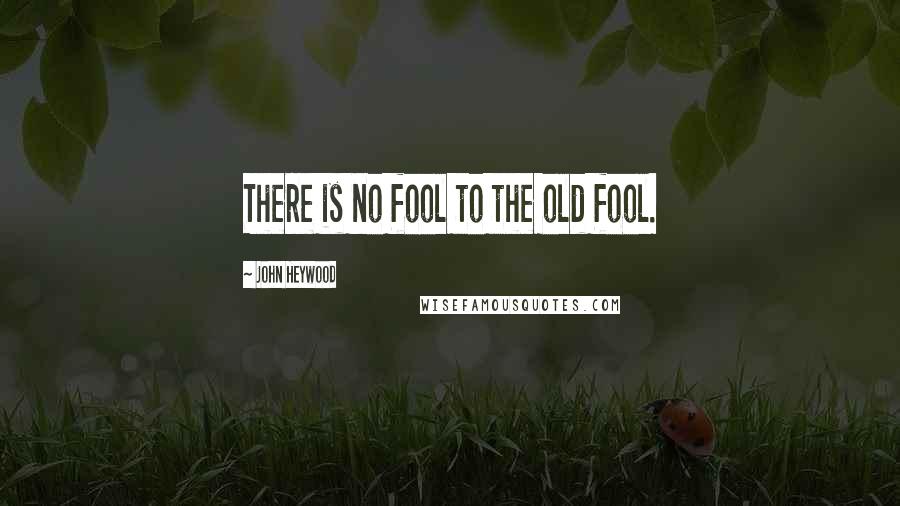 John Heywood Quotes: There is no fool to the old fool.