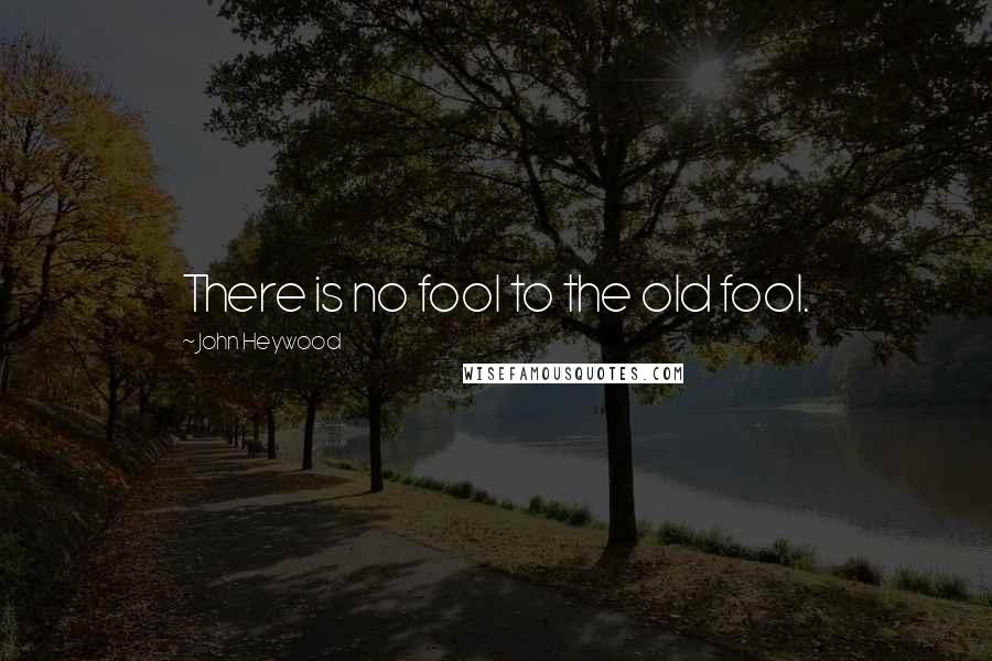 John Heywood Quotes: There is no fool to the old fool.