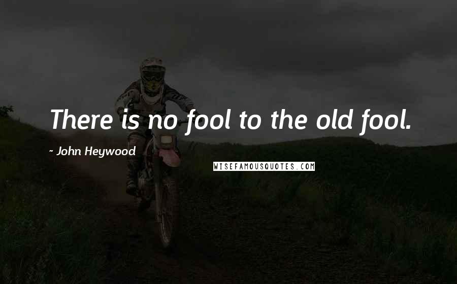 John Heywood Quotes: There is no fool to the old fool.