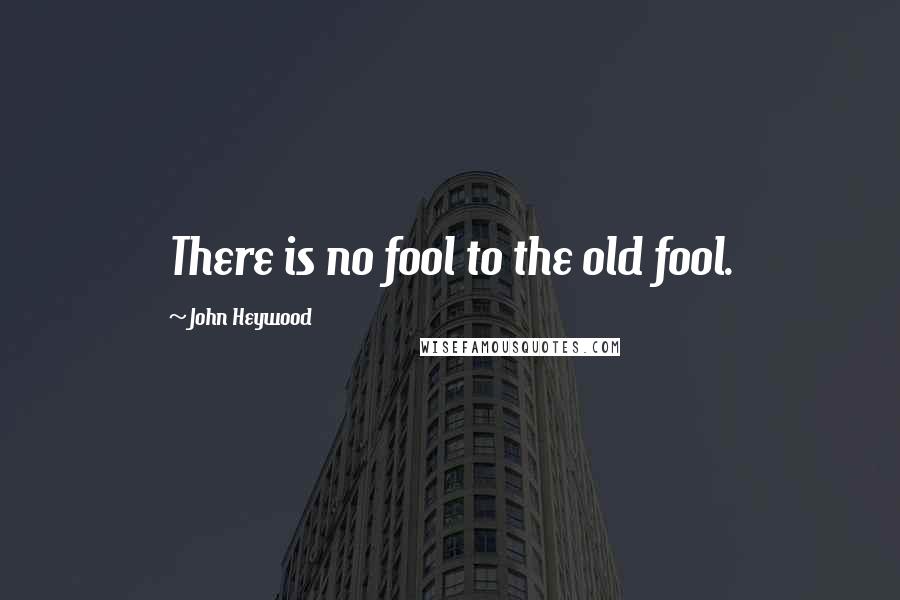 John Heywood Quotes: There is no fool to the old fool.