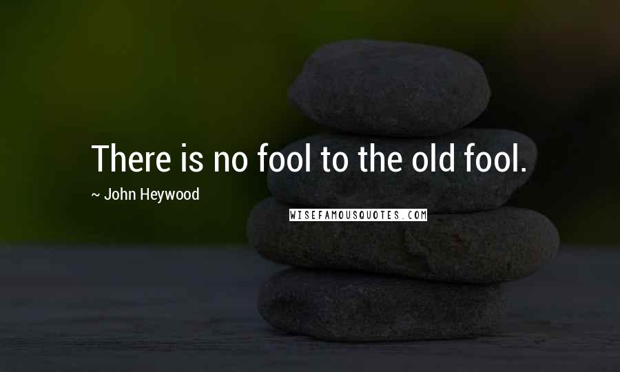 John Heywood Quotes: There is no fool to the old fool.