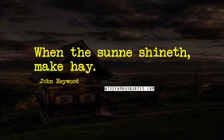 John Heywood Quotes: When the sunne shineth, make hay.