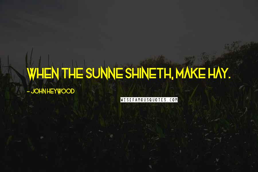 John Heywood Quotes: When the sunne shineth, make hay.