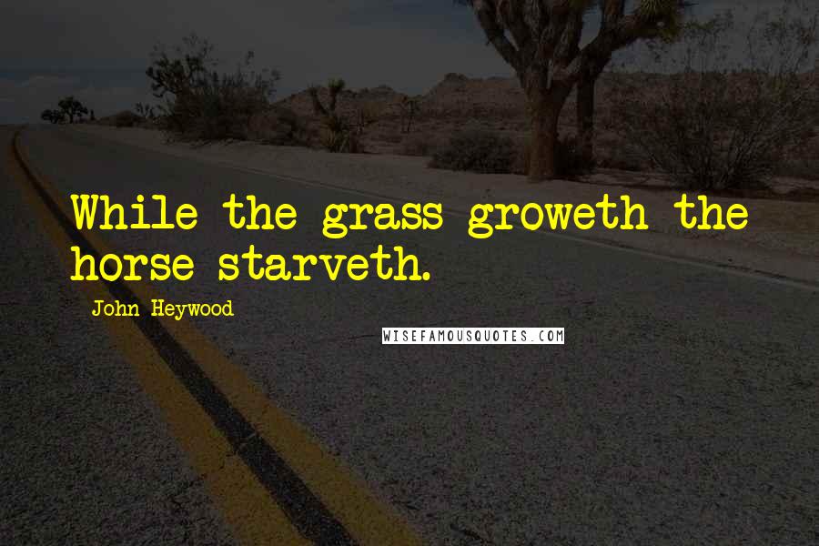 John Heywood Quotes: While the grass groweth the horse starveth.