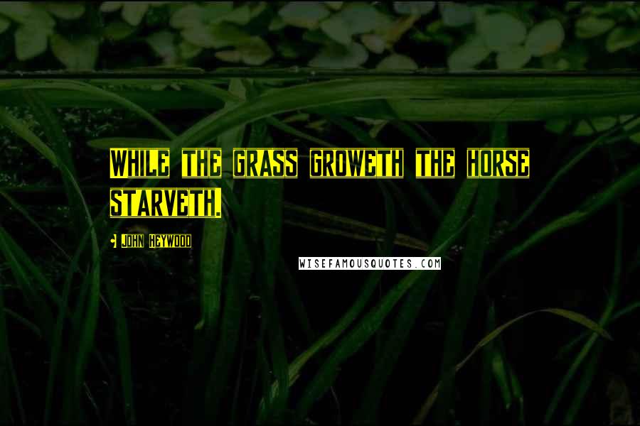 John Heywood Quotes: While the grass groweth the horse starveth.