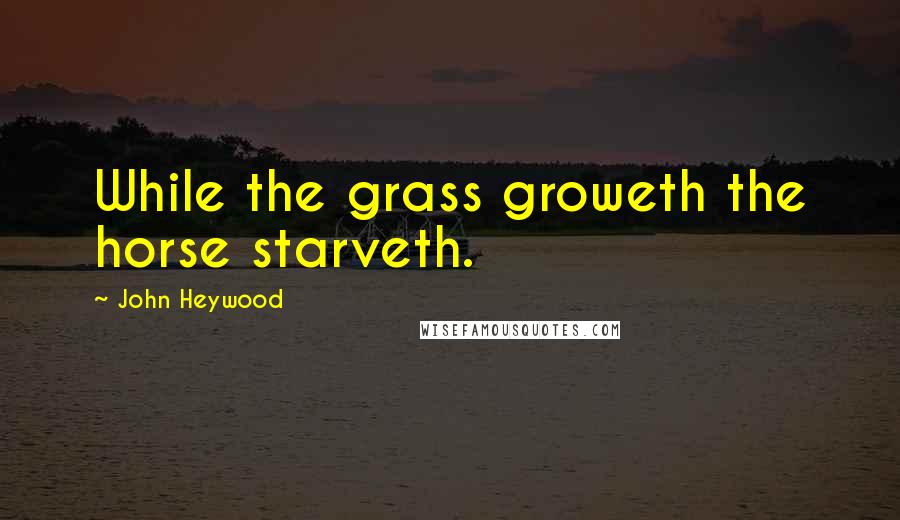 John Heywood Quotes: While the grass groweth the horse starveth.
