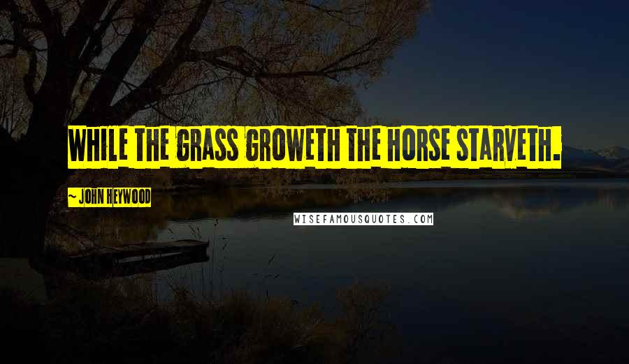 John Heywood Quotes: While the grass groweth the horse starveth.