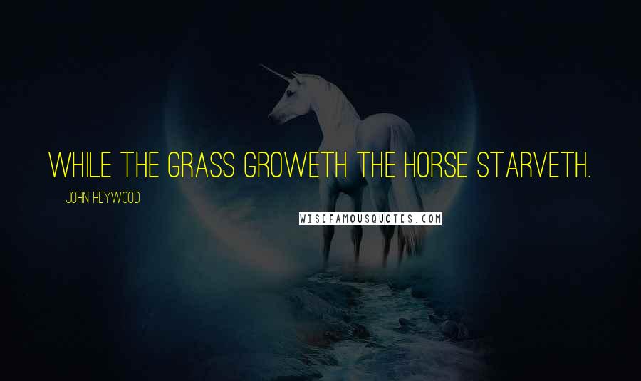 John Heywood Quotes: While the grass groweth the horse starveth.
