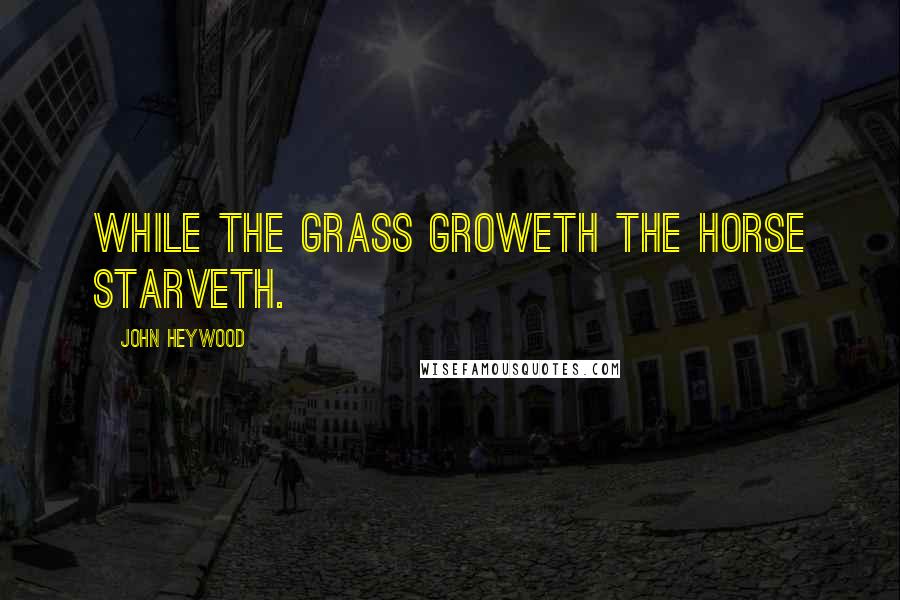 John Heywood Quotes: While the grass groweth the horse starveth.