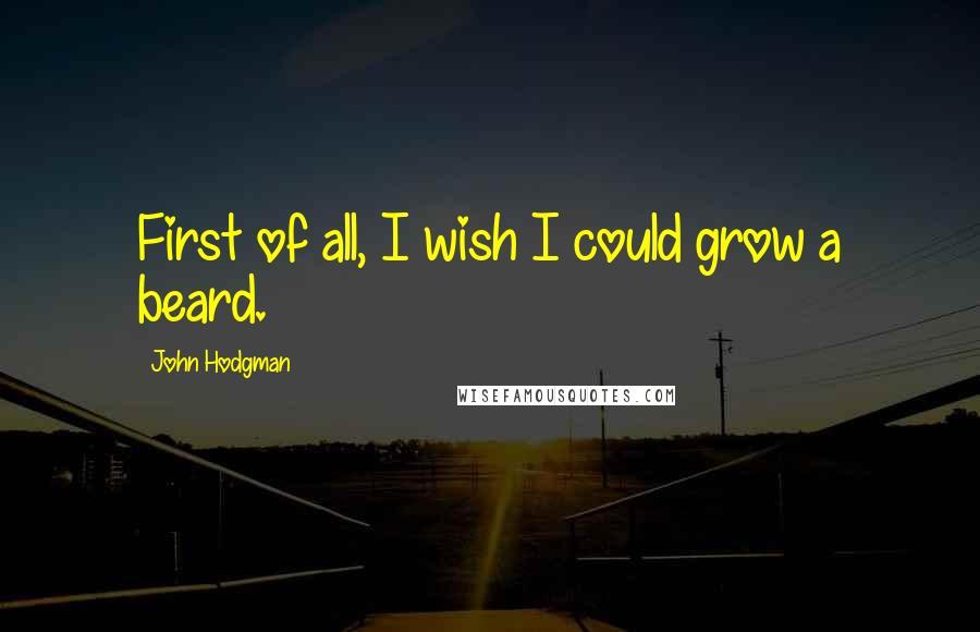 John Hodgman Quotes: First of all, I wish I could grow a beard.