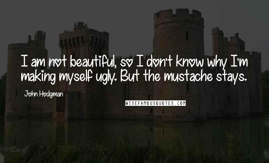 John Hodgman Quotes: I am not beautiful, so I don't know why I'm making myself ugly. But the mustache stays.