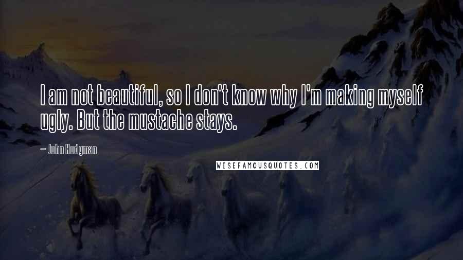 John Hodgman Quotes: I am not beautiful, so I don't know why I'm making myself ugly. But the mustache stays.