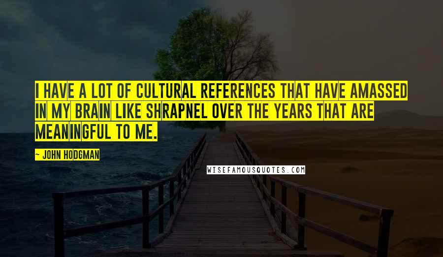 John Hodgman Quotes: I have a lot of cultural references that have amassed in my brain like shrapnel over the years that are meaningful to me.