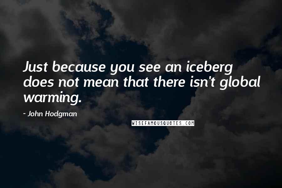 John Hodgman Quotes: Just because you see an iceberg does not mean that there isn't global warming.