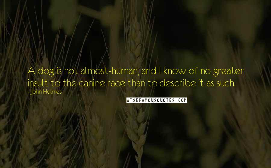 John Holmes Quotes: A dog is not almost-human, and I know of no greater insult to the canine race than to describe it as such.