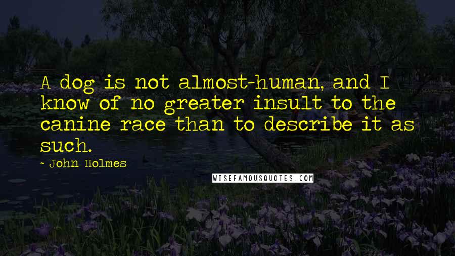 John Holmes Quotes: A dog is not almost-human, and I know of no greater insult to the canine race than to describe it as such.