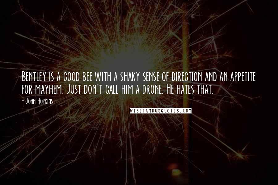 John Hopkins Quotes: Bentley is a good bee with a shaky sense of direction and an appetite for mayhem. Just don't call him a drone. He hates that.