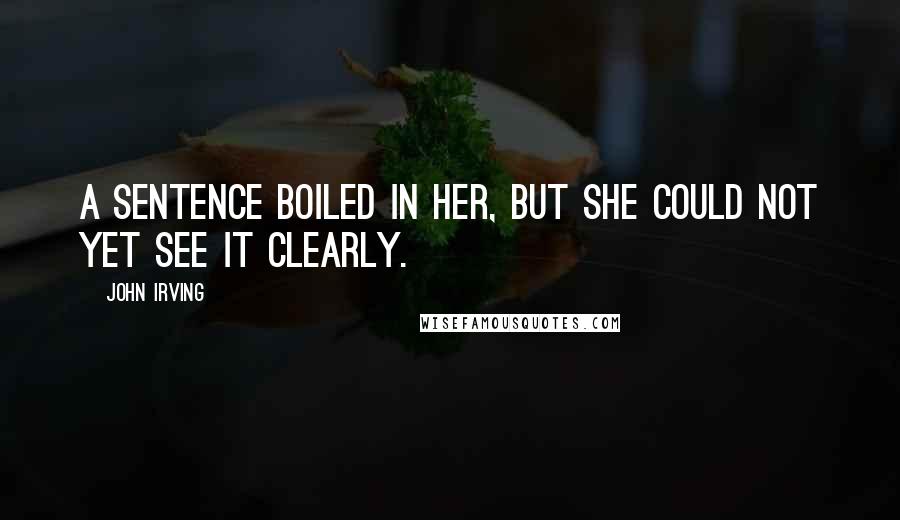 John Irving Quotes: A sentence boiled in her, but she could not yet see it clearly.