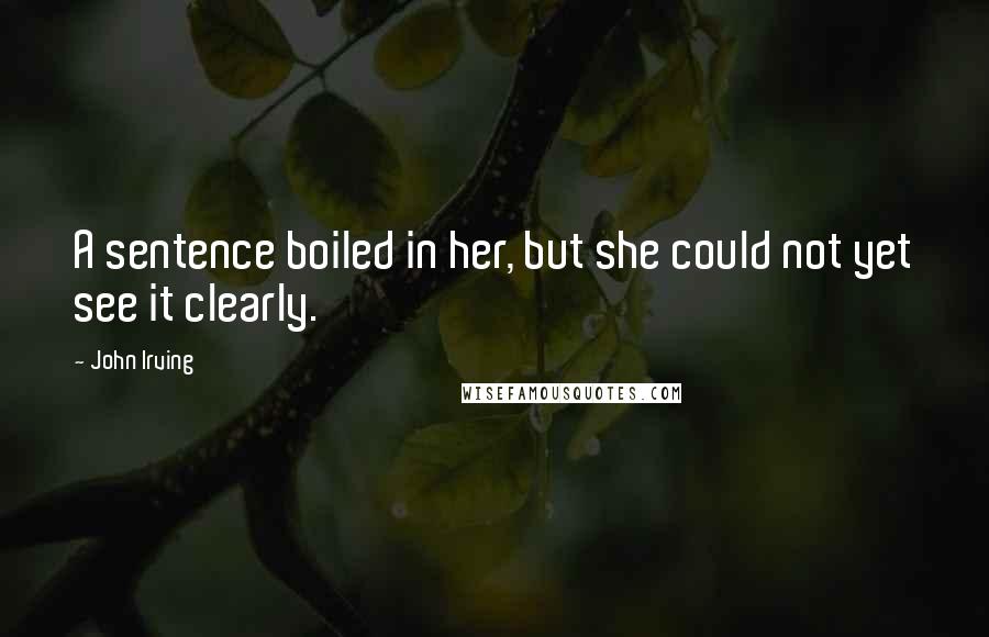 John Irving Quotes: A sentence boiled in her, but she could not yet see it clearly.