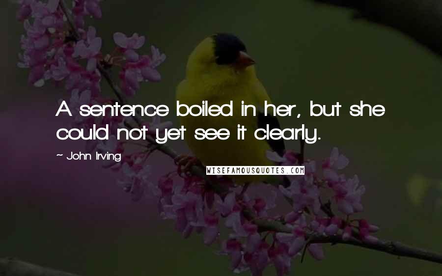 John Irving Quotes: A sentence boiled in her, but she could not yet see it clearly.