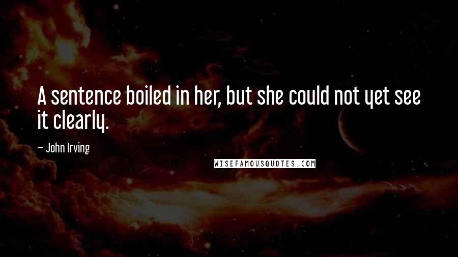 John Irving Quotes: A sentence boiled in her, but she could not yet see it clearly.