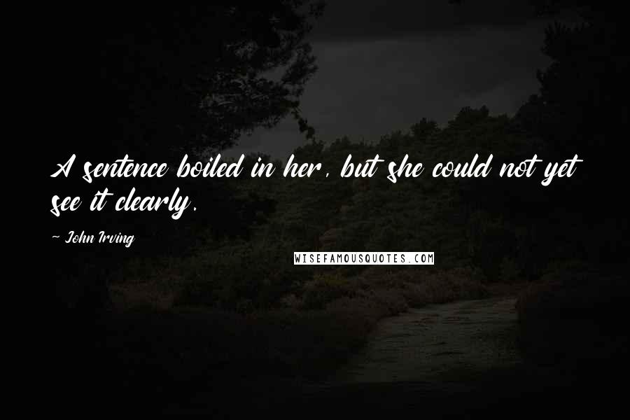 John Irving Quotes: A sentence boiled in her, but she could not yet see it clearly.