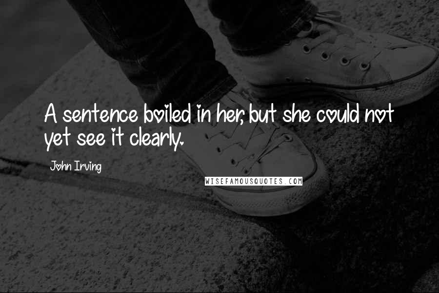 John Irving Quotes: A sentence boiled in her, but she could not yet see it clearly.