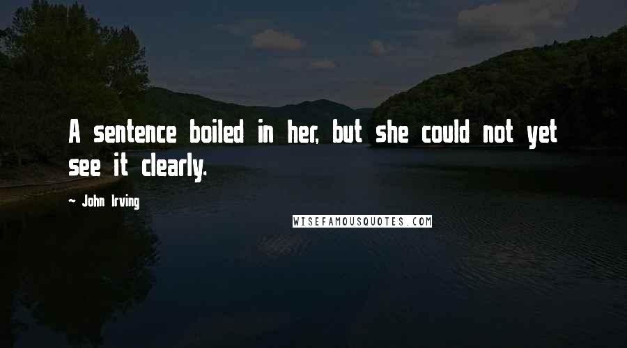 John Irving Quotes: A sentence boiled in her, but she could not yet see it clearly.