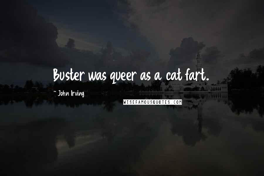 John Irving Quotes: Buster was queer as a cat fart.