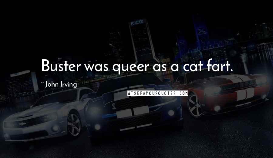 John Irving Quotes: Buster was queer as a cat fart.