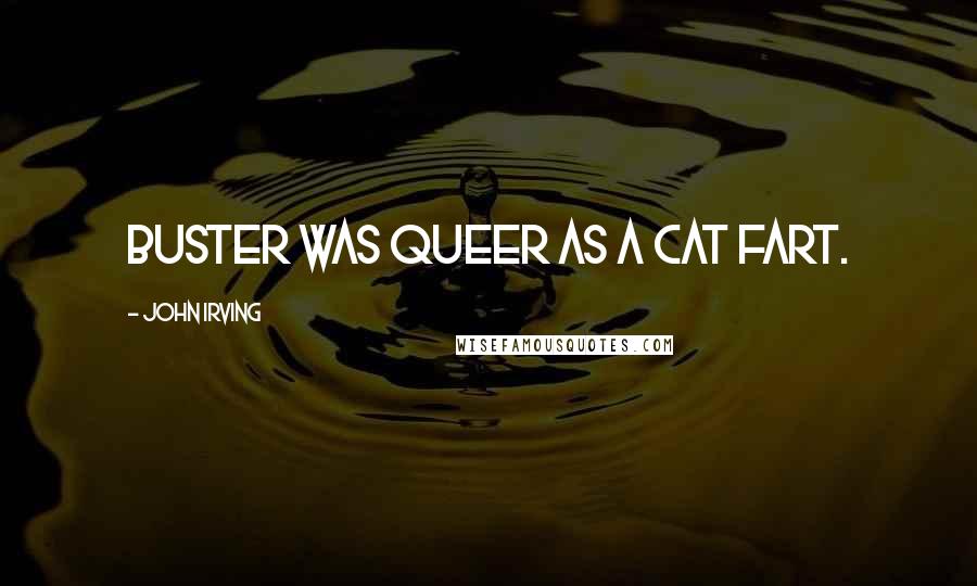 John Irving Quotes: Buster was queer as a cat fart.