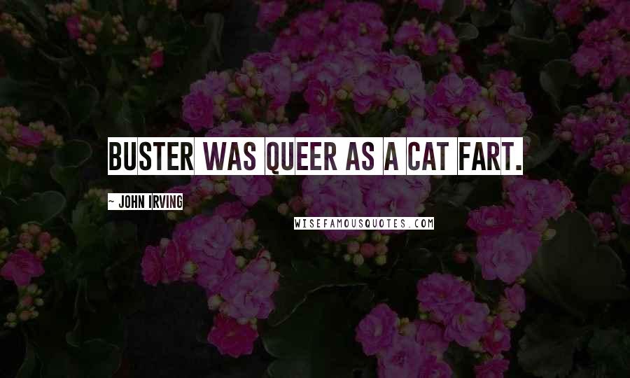 John Irving Quotes: Buster was queer as a cat fart.