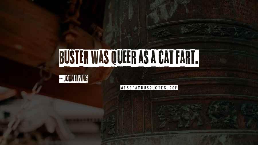 John Irving Quotes: Buster was queer as a cat fart.