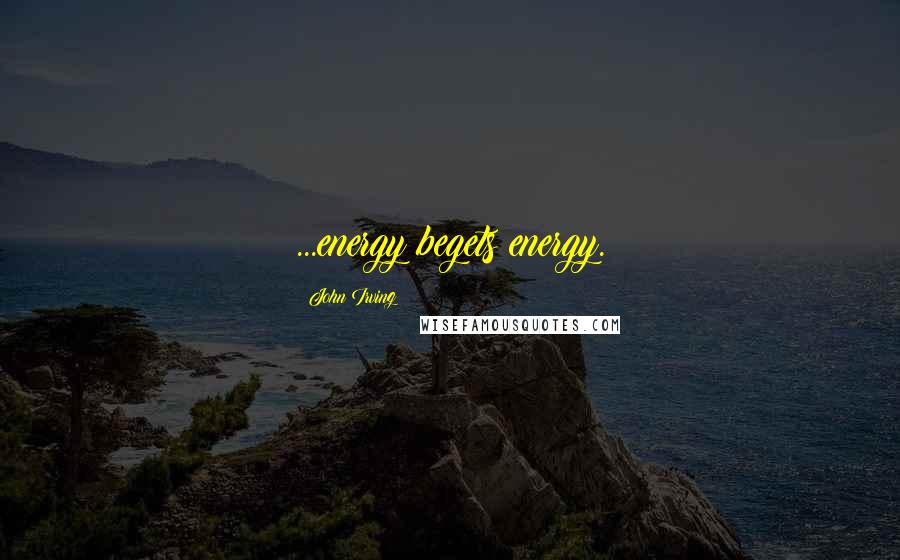 John Irving Quotes: ...energy begets energy.
