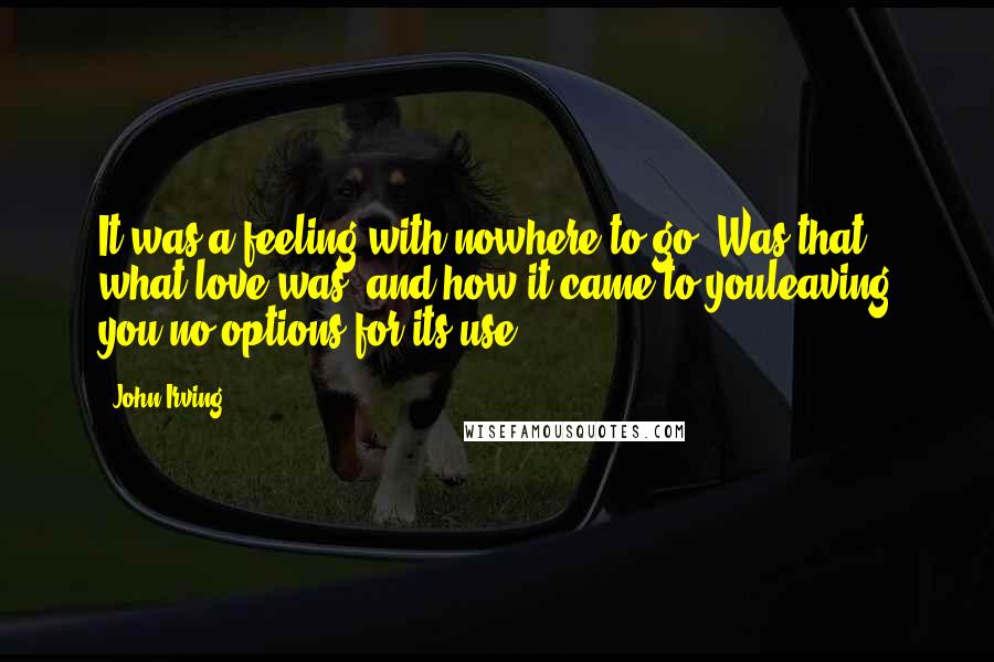 John Irving Quotes: It was a feeling with nowhere to go. Was that what love was, and how it came to youleaving you no options for its use?