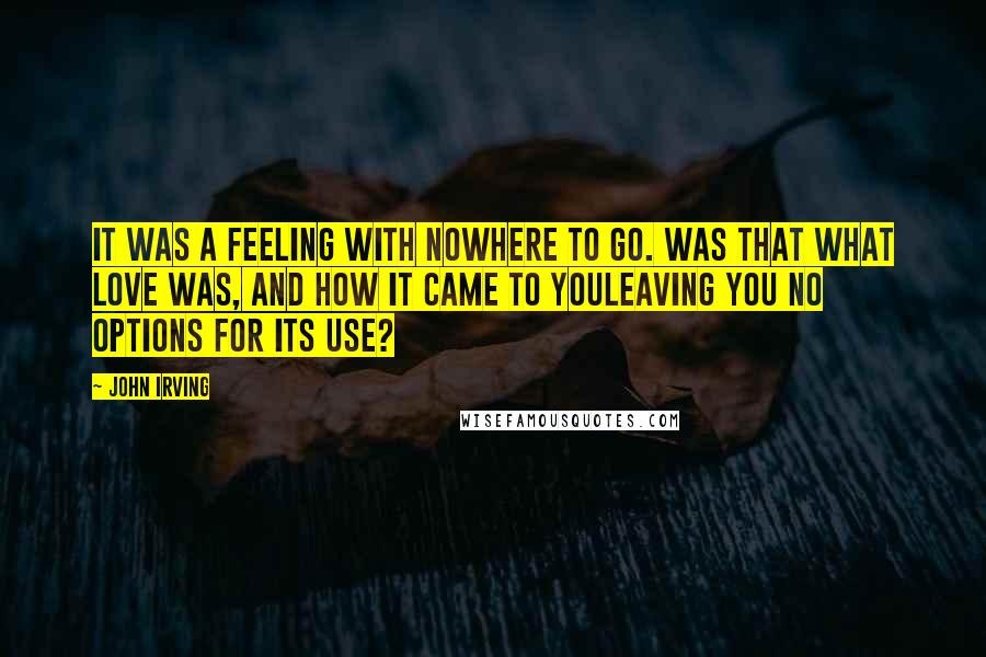 John Irving Quotes: It was a feeling with nowhere to go. Was that what love was, and how it came to youleaving you no options for its use?